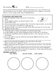 Sheet 17 Letter E Lab