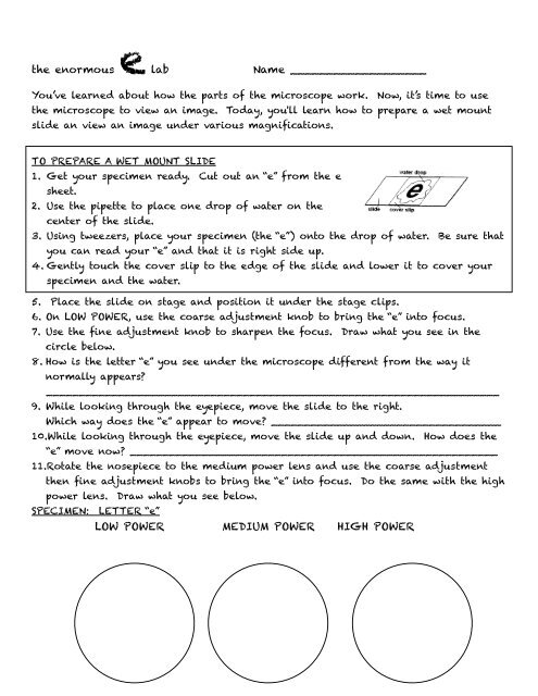 Sheet 17 Letter E Lab