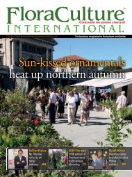 Sun-kissed ornamentals heat up northern autumn - Floraculture ...