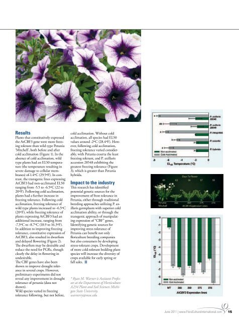 12 A sea of flowers at 2011 Pack Trials - Floraculture International