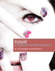 FLIGHT II - A JOURNEY IN PHOTOGRAPHY 