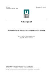 Organisationsplan der MontanuniversitÃ¤t Leoben.pdf