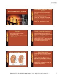 Renal and Urinary System.ppt [Compatibility Mode]