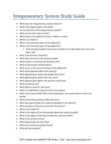 Study guide for integumentary system