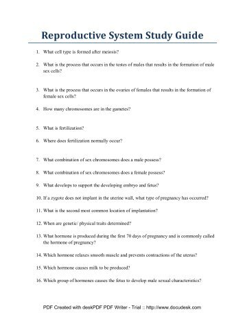 Reproductive System Study Guide