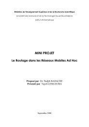 Le Routage dans les Réseaux Mobiles Ad Hoc - Projet Opéra