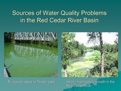 Sources of Water Quality Problems in the Red Cedar River Basin