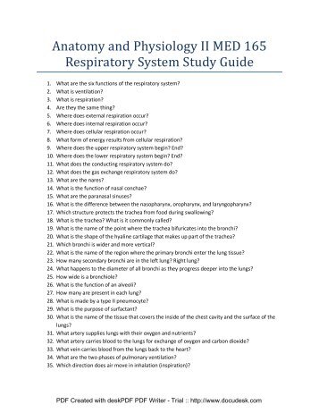 Anatomy and Physiology II MED 165 Respiratory System Study Guide