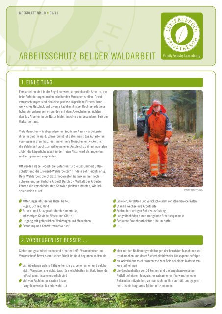Arbeitsschutz bei der WALdArbeit - PrivatBesch