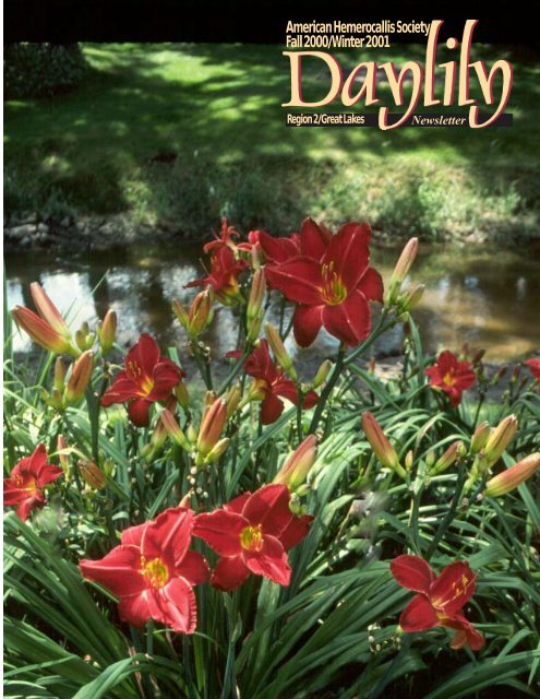 Daylily Plant Kent/'s Favorite Two II 2 Rebloom Perennial DF Kirchhoff-D Red