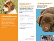 Canine parvovirus - IDEXX Laboratories