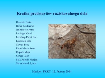 Predstavitev LIPOVSEK.pdf