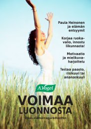 VOIMAA - Vogel