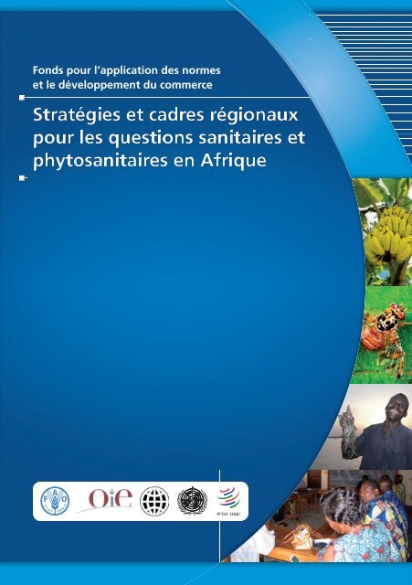 StratÃ©gies et cadres rÃ©gionaux SPS en Afrique - Standards and ...
