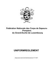 Fédération Nationale des Corps de Sapeurs- Pompiers du ...