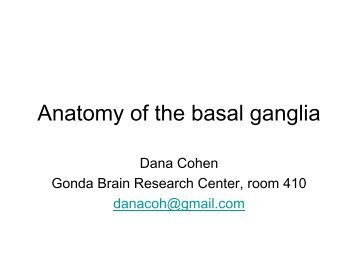 1 Basal ganglia anatomy - Gonda Multidisciplinary Brain Research ...