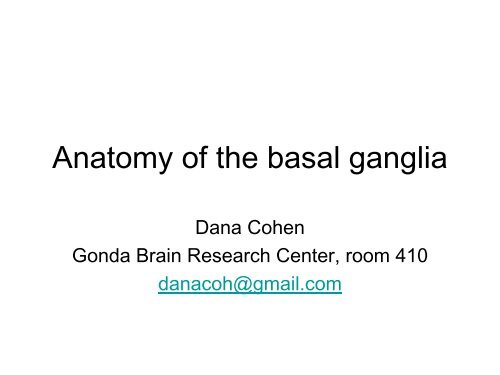 1 Basal ganglia anatomy - Gonda Multidisciplinary Brain Research ...