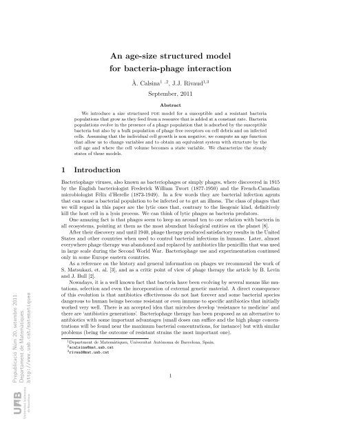 An age-size structured model for bacteria-phage interaction
