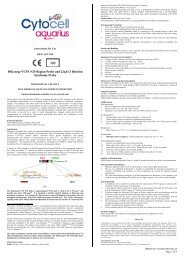 DiGeorge/VCFS N25 Region Probe and 22q13.3 Deletion - AmpliTech