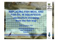 REPLACING FISH MEAL AND FISH OIL IN ... - AquaFeed.com