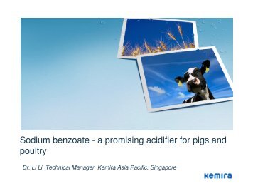 Sodium benzoate - a promising acidifier for pigs ... - AquaFeed.com