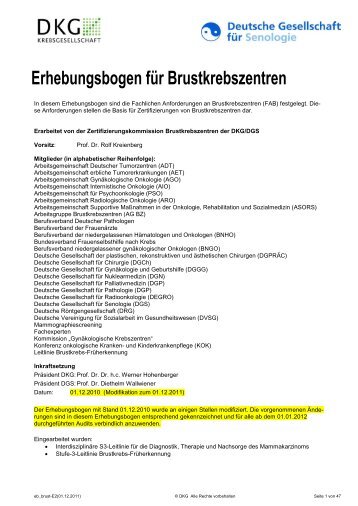 Erhebungsbogen fÃ¼r Brustkrebszentren - Brustzentrum Herzogtum ...