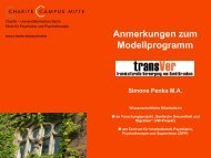 Anmerkungen zum Modellprogramm - transVer