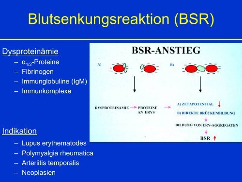 EntzÃ¼ndung-akute Phase-Proteine - Mtaschule-os.de