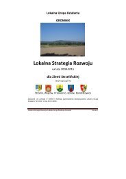 Lokalna Strategia Rozwoju - Urząd Marszałkowski Województwa ...