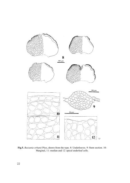 ACTA BIOLOGICA PLANTARUM AGRIENSIS