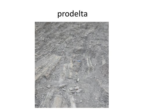 Sedimentary environments of the early Pliocene Ailioachioa ...