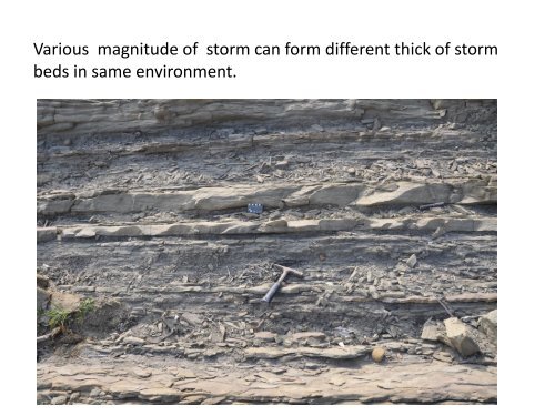 Sedimentary environments of the early Pliocene Ailioachioa ...