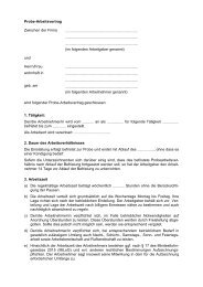 Probe-Arbeitsvertrag Zwischen der Firma (im ... - Gruender-MV.de