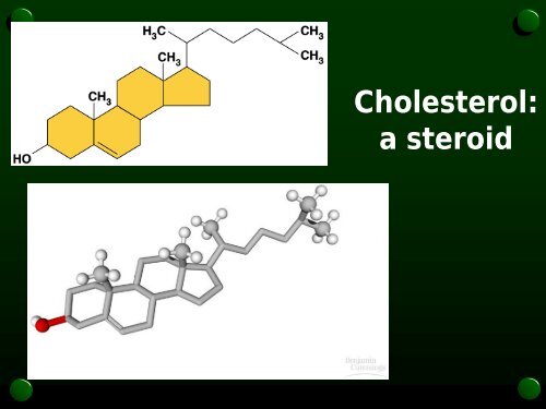 Introduction to biochemistry.pdf