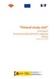 Finland ESF Entrepreneurship Case Study