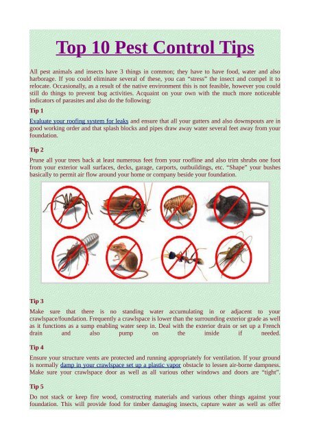 Top 10 Pest Control Tips