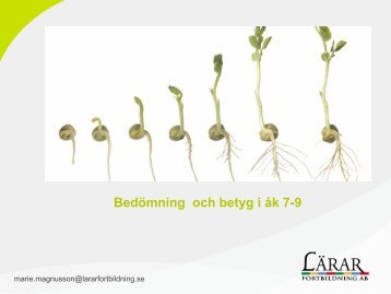 BedÃ¶mning och betyg i Ã¥k 7-9.pdf