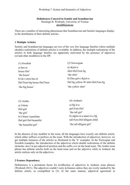 Workshop 7 Syntax And Semantics Of Adjectives Definiteness