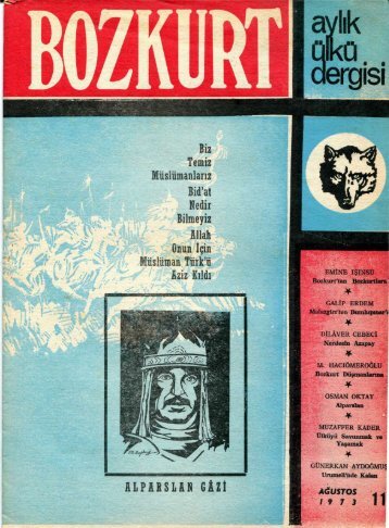 bozkurt