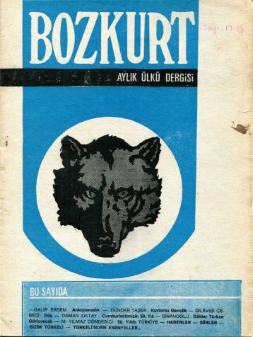 bozkurt