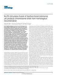 Ku70 stimulates fusion of dysfunctional telomeres - Titia de Lange Lab