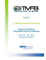 Program 5. TMFB International Workshop Cluster of Excellence ...