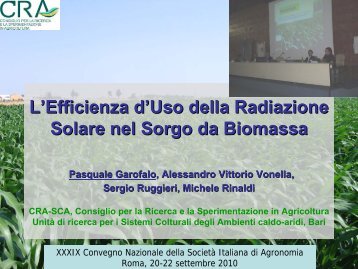 L'Efficienza d'Uso della Radiazione Solare nel Sorgo da ... - Siagr.org