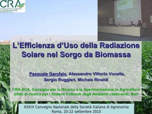 L'Efficienza d'Uso della Radiazione Solare nel Sorgo da ... - Siagr.org