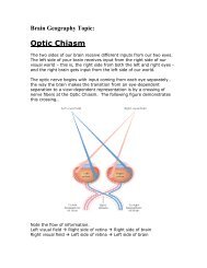 Optic Chiasm - Mark V. Albert - mva.me