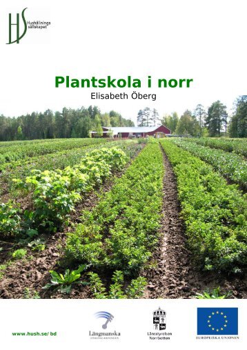 Plantskola i norr - HushÃ¥llningssÃ¤llskapet RÃ¥dgivning Nord