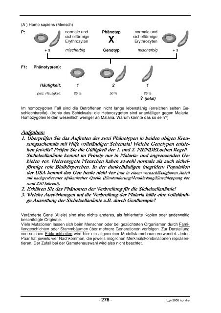 Download Teil: Genetik - lern-soft-projekt