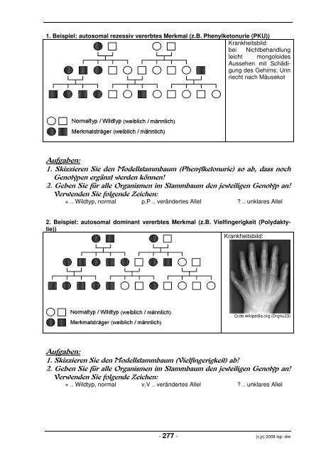 Download Teil: Genetik - lern-soft-projekt