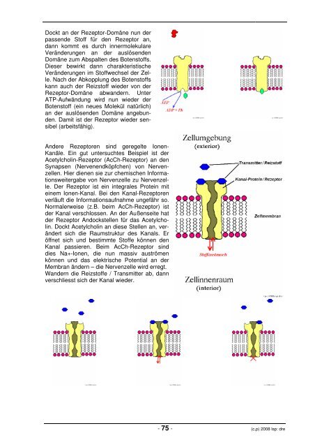 Download Teil: Cytologie - lern-soft-projekt