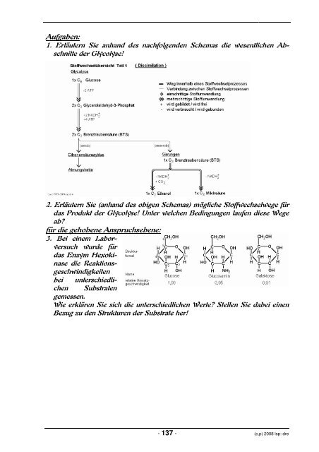 SEW - lern-soft-projekt